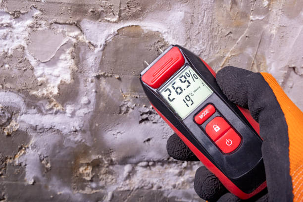 Mold Removal and Inspection in Avondale, PA