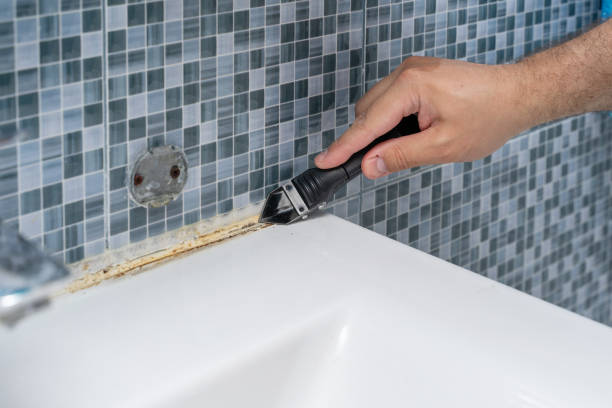 Best Commercial Mold Removal  in Avondale, PA