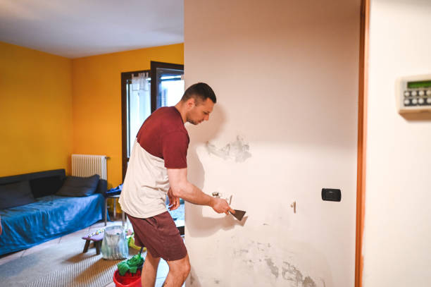 Best Mold Removal Process  in Avondale, PA